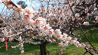p3150472_thumb.jpg