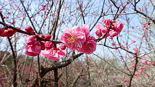 p3150473_thumb.jpg