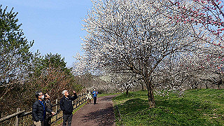 p3150474_thumb.jpg