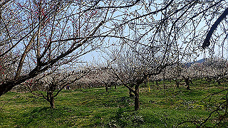 p3150476_thumb.jpg