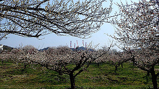 p3150479_thumb.jpg
