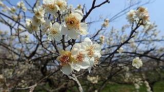 p3150482_thumb.jpg