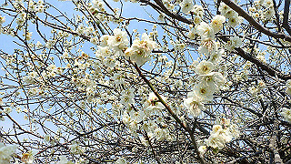 p3150483_thumb.jpg