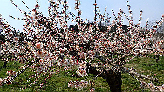 p3150484_thumb.jpg