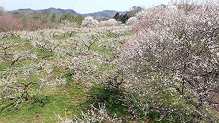 p3150486_thumb.jpg