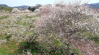 p3150487_thumb.jpg
