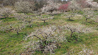 p3150488_thumb.jpg