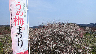 p3150489_thumb.jpg