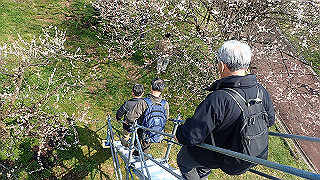 p3150490_thumb.jpg