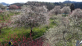 p3150491_thumb.jpg