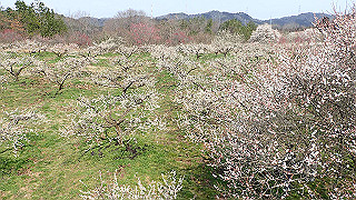 p3150492_thumb.jpg