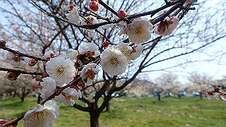 p3150494_thumb.jpg