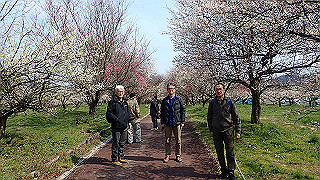 p3150495_thumb.jpg