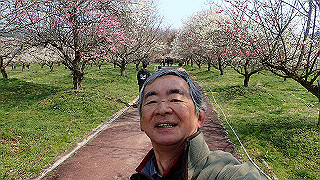 p3150496_thumb.jpg