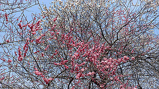 p3150497_thumb.jpg
