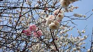 p3150498_thumb.jpg