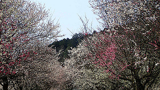 p3150499_thumb.jpg