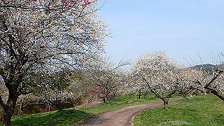 p3150501_thumb.jpg