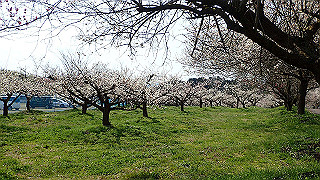 p3150502_thumb.jpg