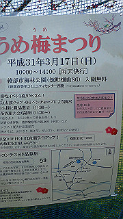 p3150503_thumb.jpg