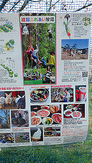 p3150504_thumb.jpg