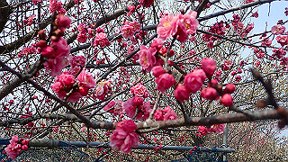 p3150506_thumb.jpg