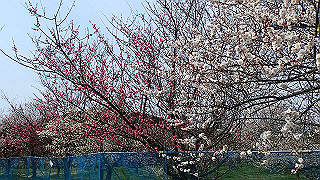 p3150507_thumb.jpg