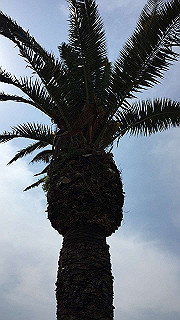 20190327_015612734_ios_thumb.jpg