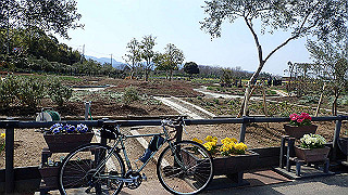 p3270470_thumb.jpg
