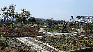 p3270472_thumb.jpg