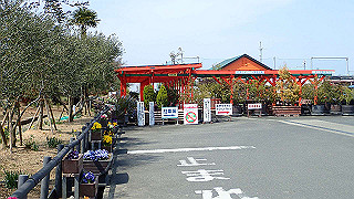 p3270473_thumb.jpg