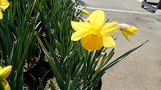 p3270474_thumb.jpg