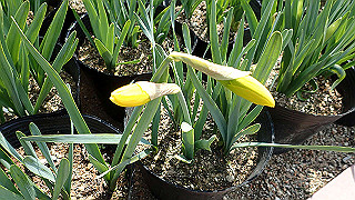 p3270475_thumb.jpg
