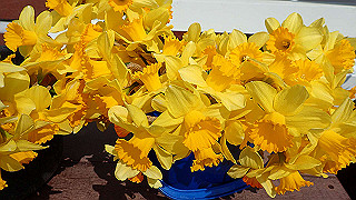 p3270476_thumb.jpg
