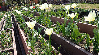 p3270477_thumb.jpg