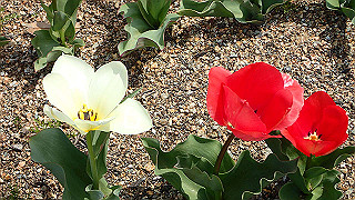 p3270482_thumb.jpg