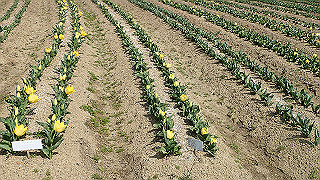 p3270485_thumb.jpg