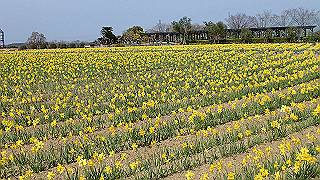 p3270486_thumb.jpg