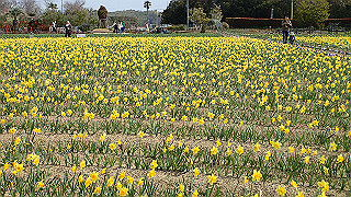 p3270489_thumb.jpg
