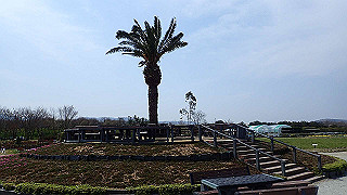 p3270490_thumb.jpg