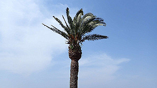 p3270491_thumb.jpg