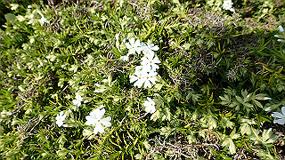 p3270492_thumb.jpg