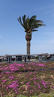 p3270494_thumb.jpg