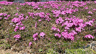 p3270495_thumb.jpg