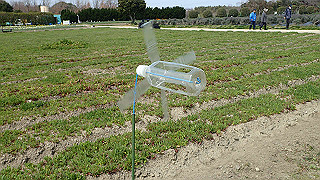 p3270496_thumb.jpg