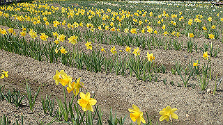 p3270497_thumb.jpg