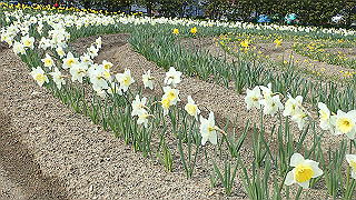 p3270498_thumb.jpg
