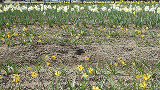 p3270500_thumb.jpg
