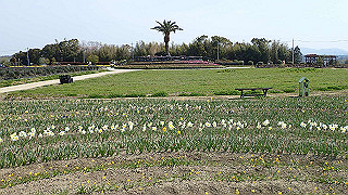 p3270501_thumb.jpg
