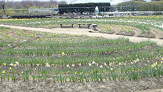 p3270502_thumb.jpg